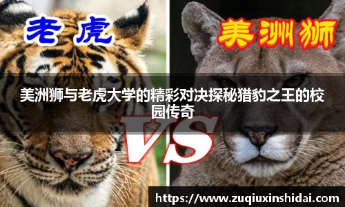 39153.k1体育十年品牌